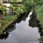 Antibiotic-resistant genes found in Londons canals and ponds