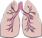 Lab-made lungs fast-track drug testing, can replace animal test subjects