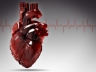 First functioning mini human hearts grown from stem cells