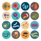 New class of antimicrobials discovered in soil bacteria